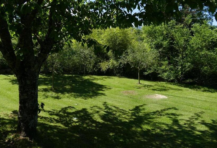 민박 Casino Del Monaco