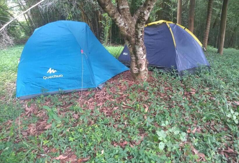Canastra Hostel E Camping   Quartos