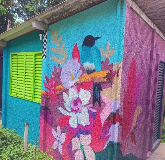 Canastra Hostel E Camping   Quartos