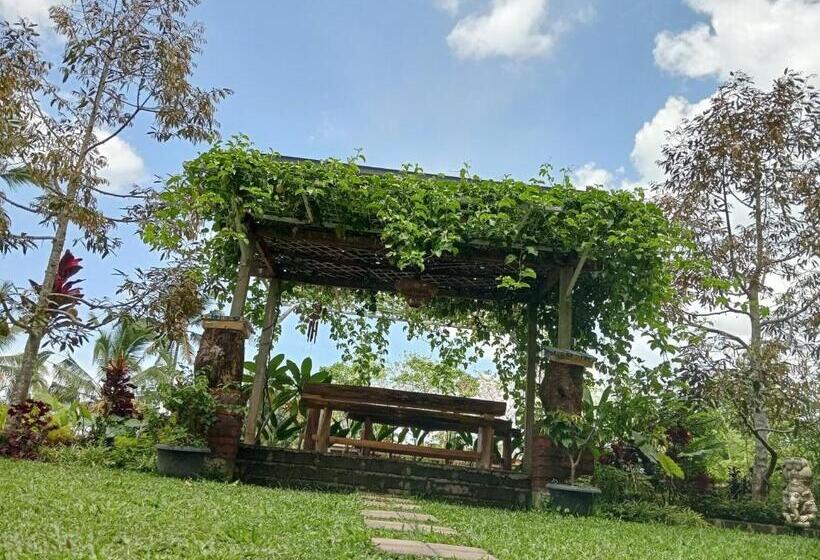 호텔 Sekumpul Bali Hidden Space