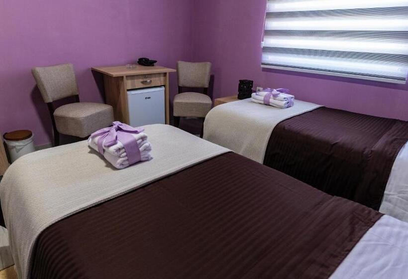 هتل Smestaj & Spa Protić