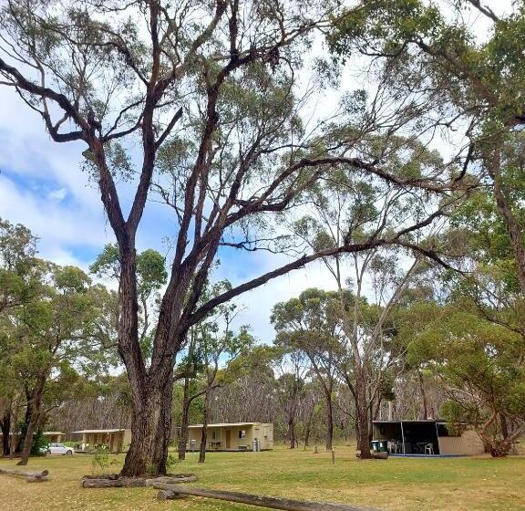 מוטל Mt Barker Holiday Park   Western Australia