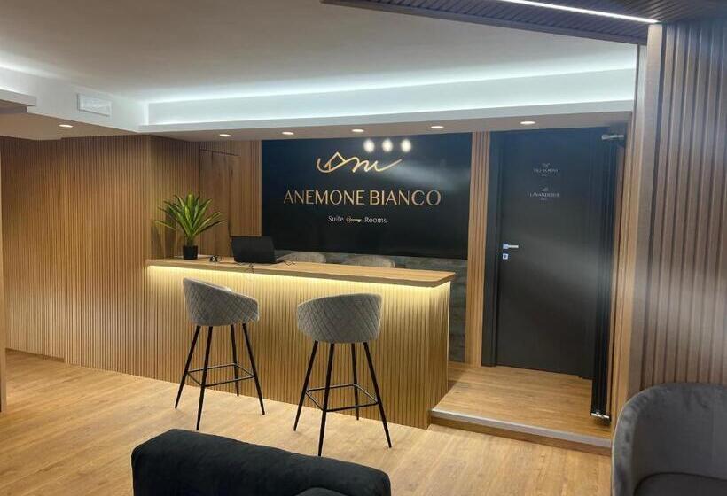 膳宿费 Anemone Bianco Suite Rooms