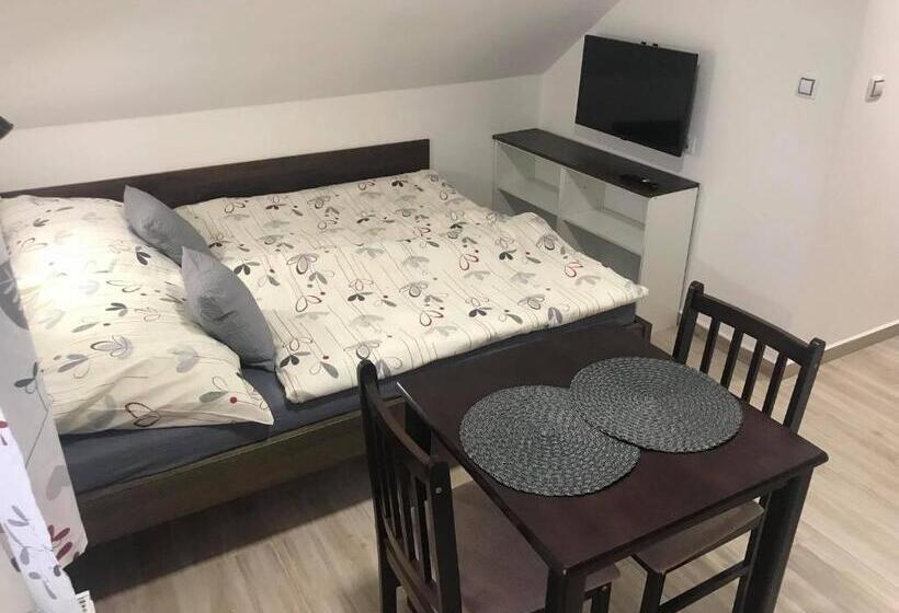 پانسیون Apartmány V Chalupě Nad Modravou