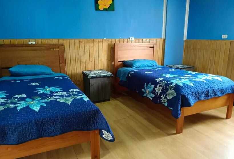 بنسيون Hostal Kaiheke