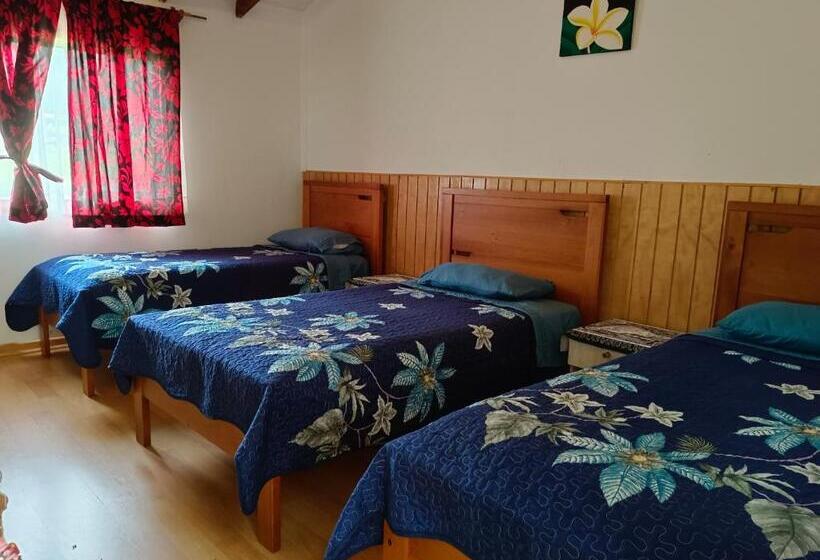 بنسيون Hostal Kaiheke