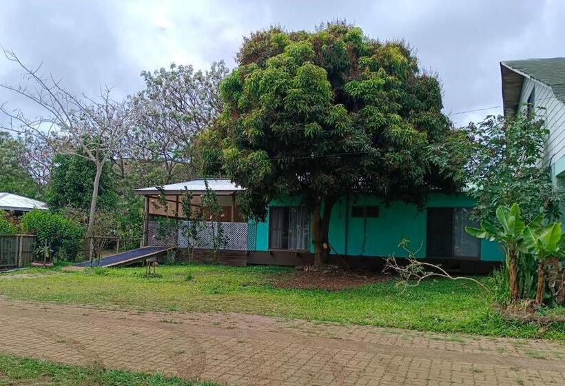 بنسيون Hostal Kaiheke