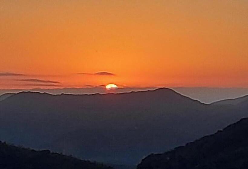 ペンション Quintal Da Mata