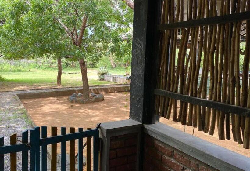 Yala Ying Yang Hostel & Camping