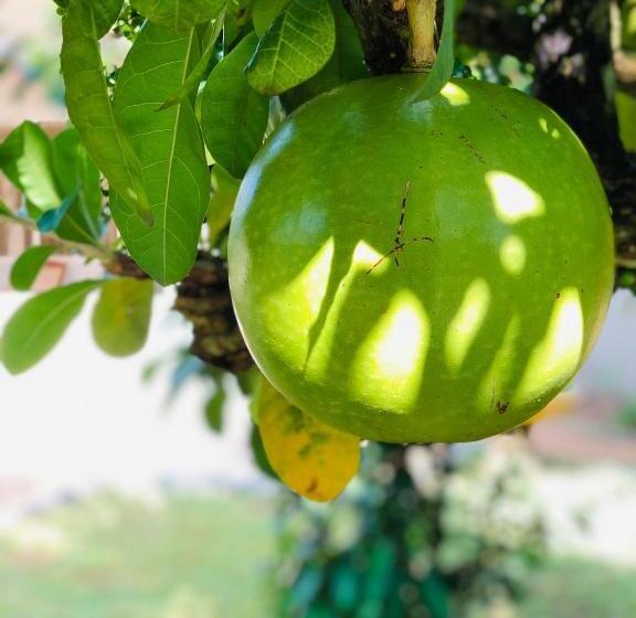 酒店 Paradise Garden Beruwala