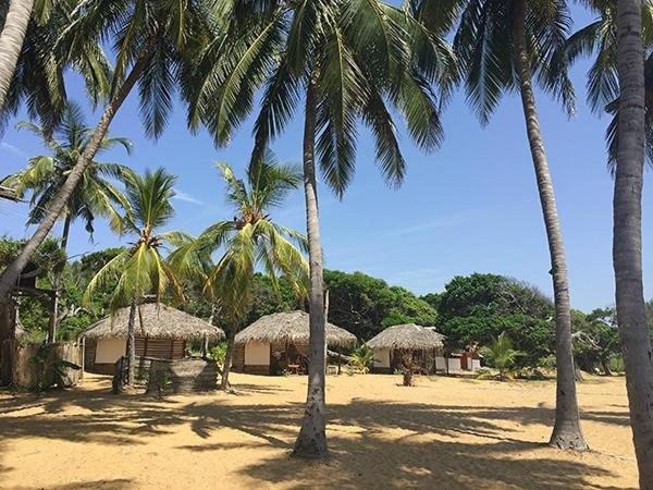 پانسیون Upali Beach Surf Resort & Café
