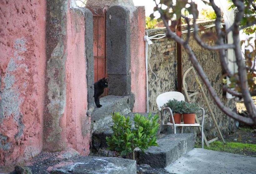 منتجع Podere Dell Etna Segreta   Essential Nature