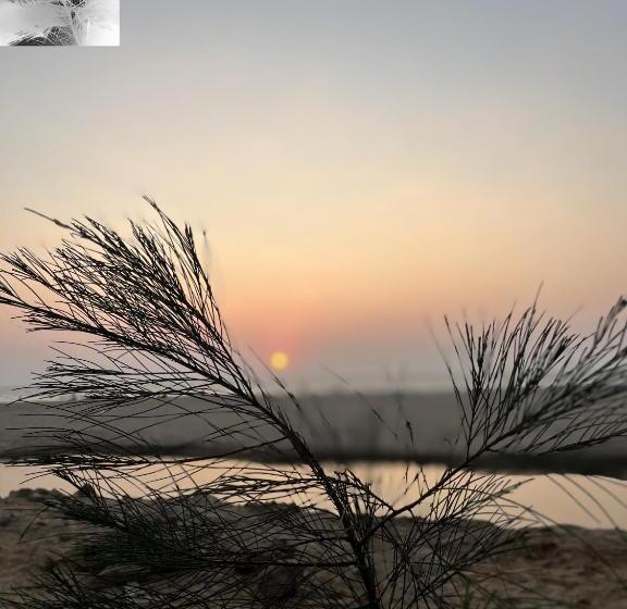 Revibe Beach Hostel Gokarna