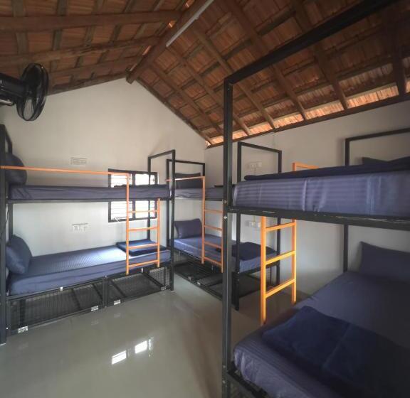 Revibe Beach Hostel Gokarna