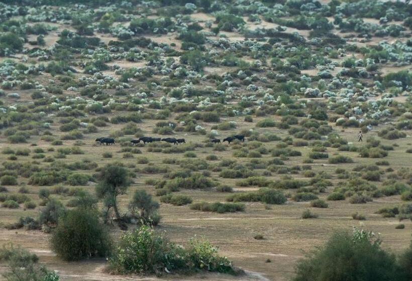 فندق Desert Trails Khuri
