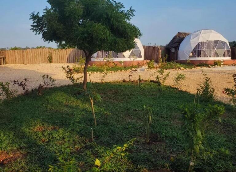 בית מלון כפרי Paradise City