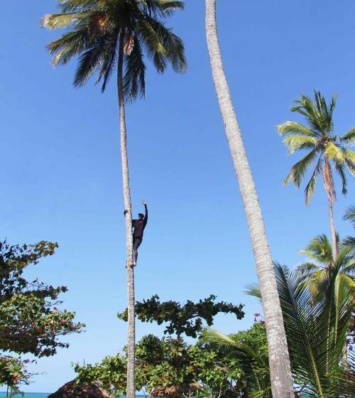 Manolo Beach Resort