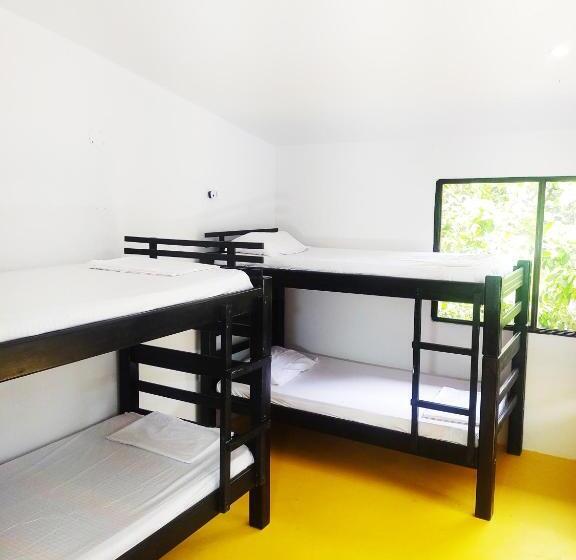 پانسیون Amalaya Hostel