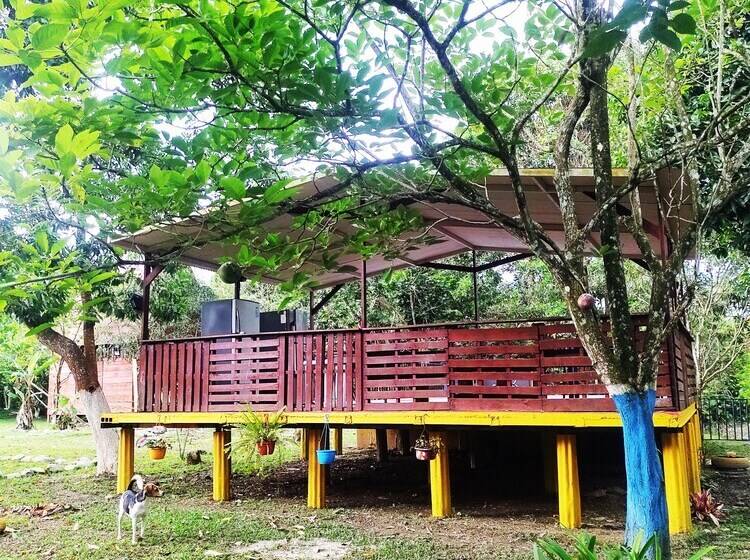 پانسیون Amalaya Hostel