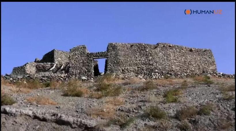 Pensão Damirbek Davronov Guest House