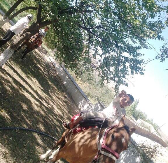 Pansiyon Damirbek Davronov Guest House