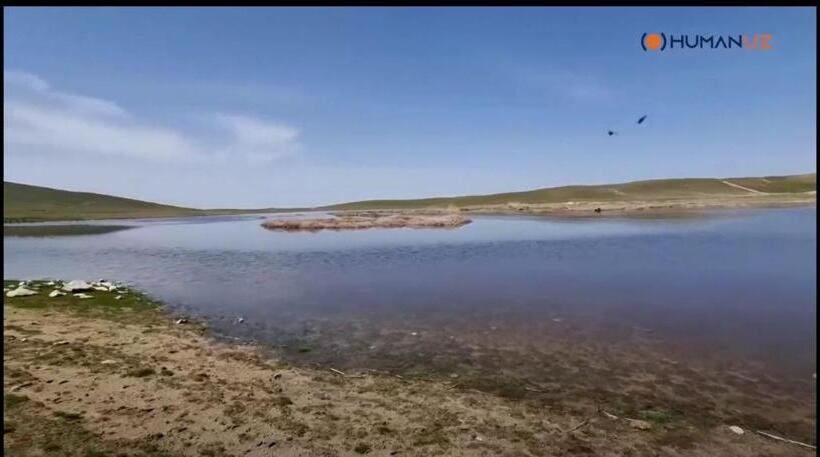 Pensão Damirbek Davronov Guest House