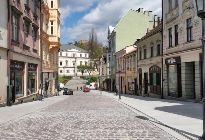 בית מלון כפרי Cieszyński Stare Miasto Suites