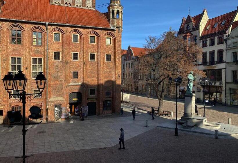 هتل Apartamenty Sowa Toruń