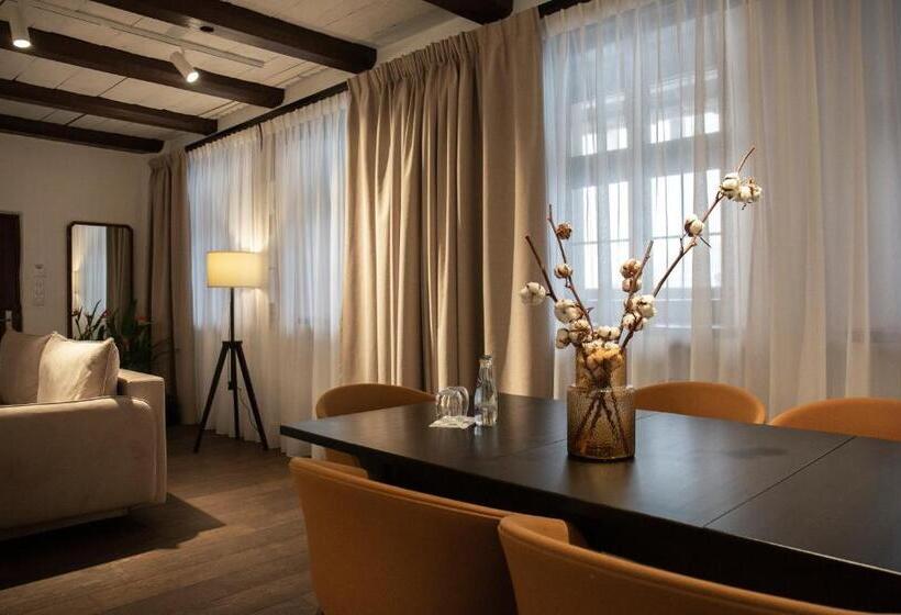 هتل Apartamenty Sowa Toruń