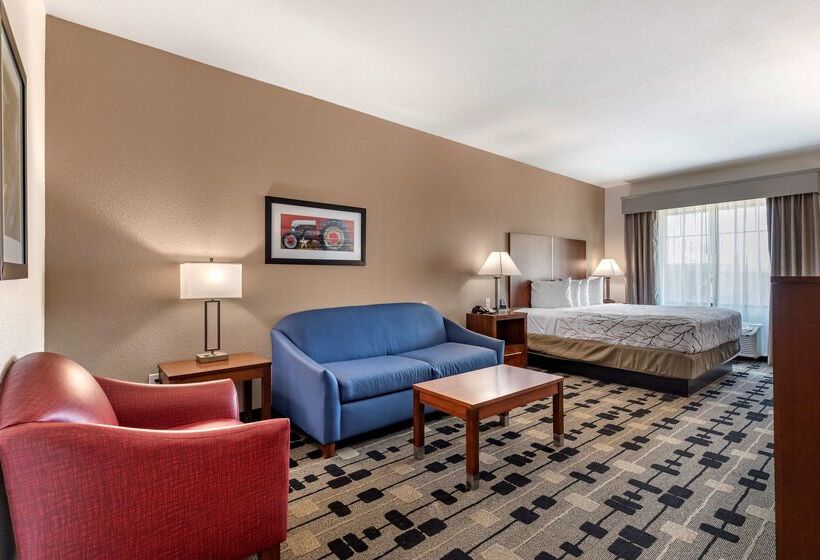 호텔 Best Western Plus Big Lake Inn