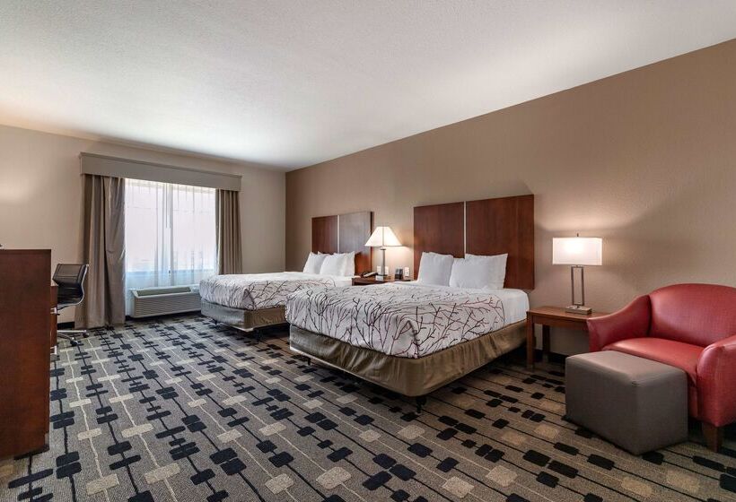 호텔 Best Western Plus Big Lake Inn