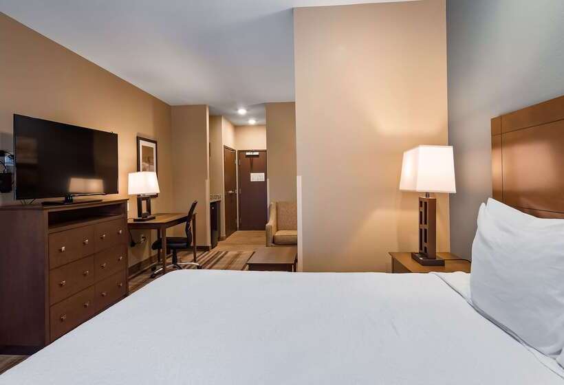 酒店 Best Western Plus Overland Inn