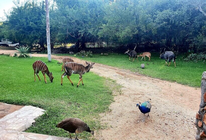 هتل Blyde River Wilderness Lodge