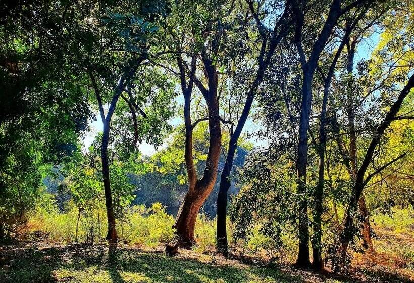 هتل Blyde River Wilderness Lodge