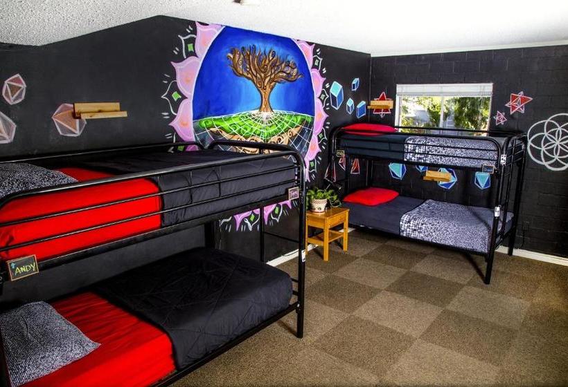 Отель Drifter Jack's Hostel