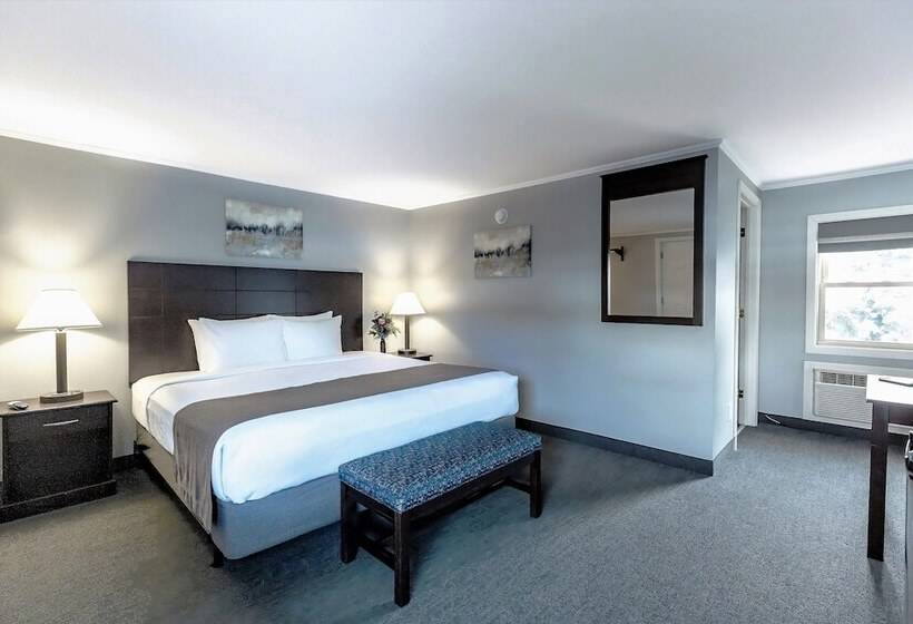 فندق Mt Madison Inn & Suites