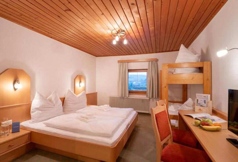 Общежитие Gasthof Mamooserhof