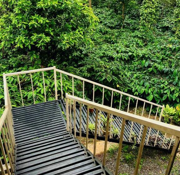 旅馆 The Last Try   Secret Ashram Coorg