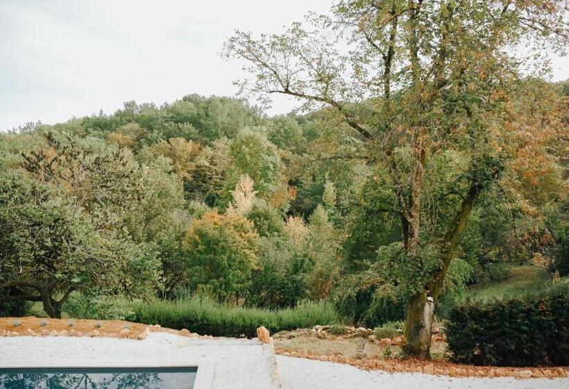 تختخواب و صبحانه Maison Cistus   Maison D Hôtes De Charme   Suites Et Gîte Avec Terrasses Privées   Proche De Sarlat