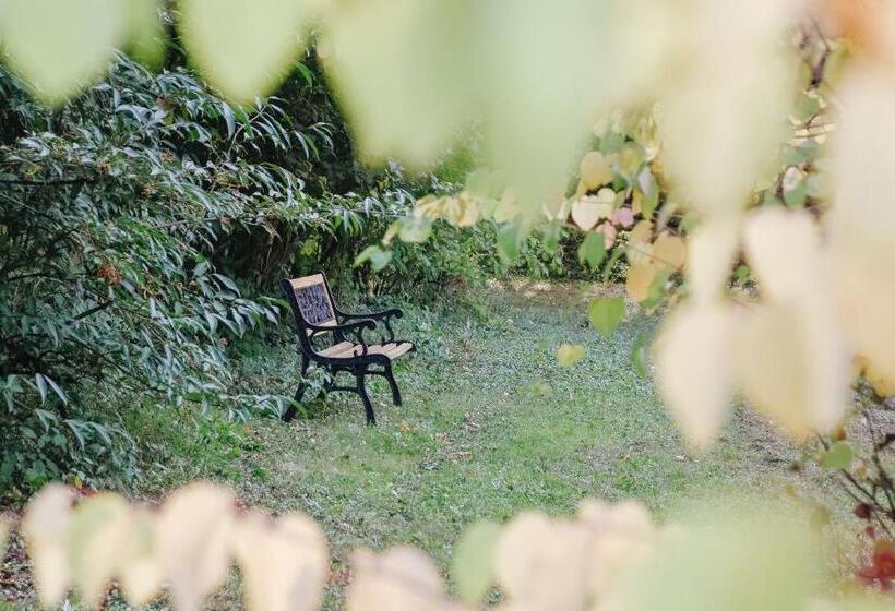 تختخواب و صبحانه Maison Cistus   Maison D Hôtes De Charme   Suites Et Gîte Avec Terrasses Privées   Proche De Sarlat