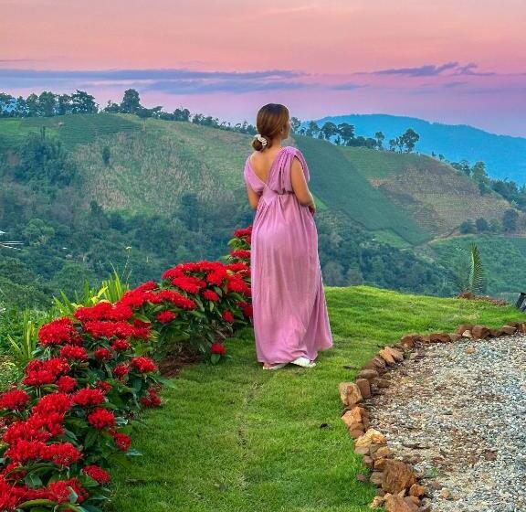 هتل Above The Clouds   Chiang Rai