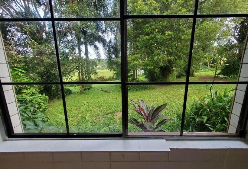 펜션 Tarzali Boho Gardens Guest House