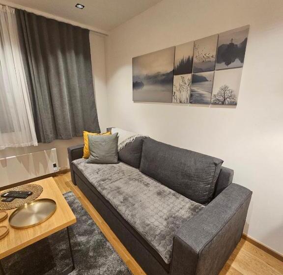 Zlatni Javor, Apartment 408