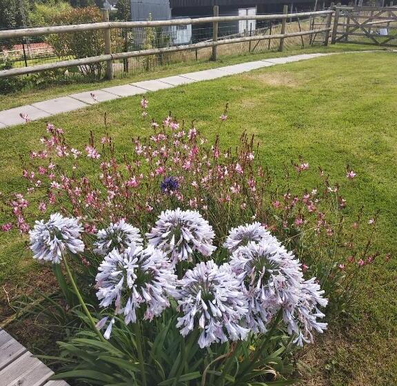 住宿加早餐  Suite Familiale Mamito Et Papito