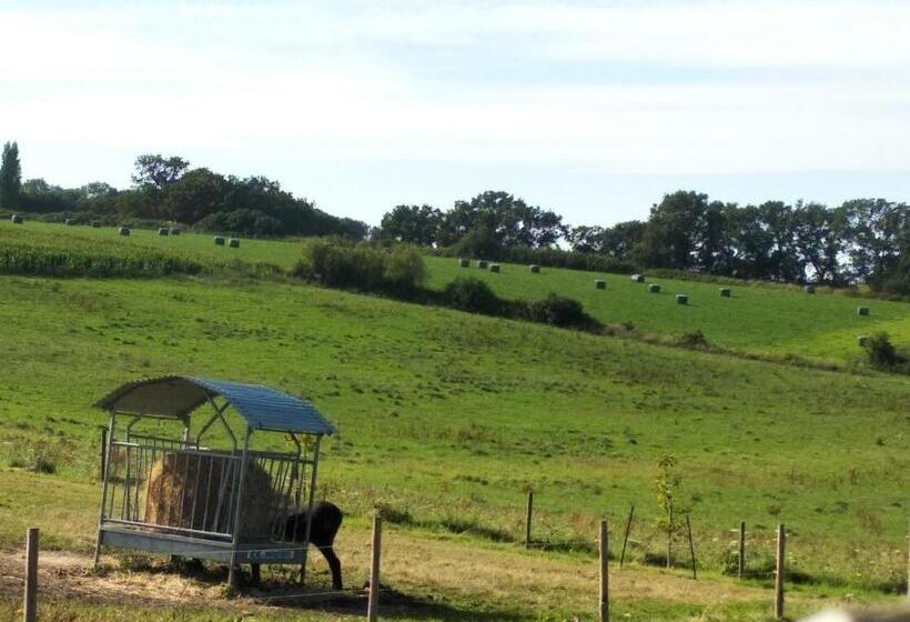 Bed and Breakfast Suite Familiale Mamito Et Papito