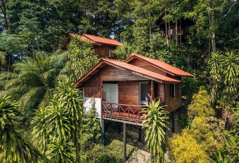 Bed and Breakfast The Source Yoga And Nature Retreat Koh Phangan