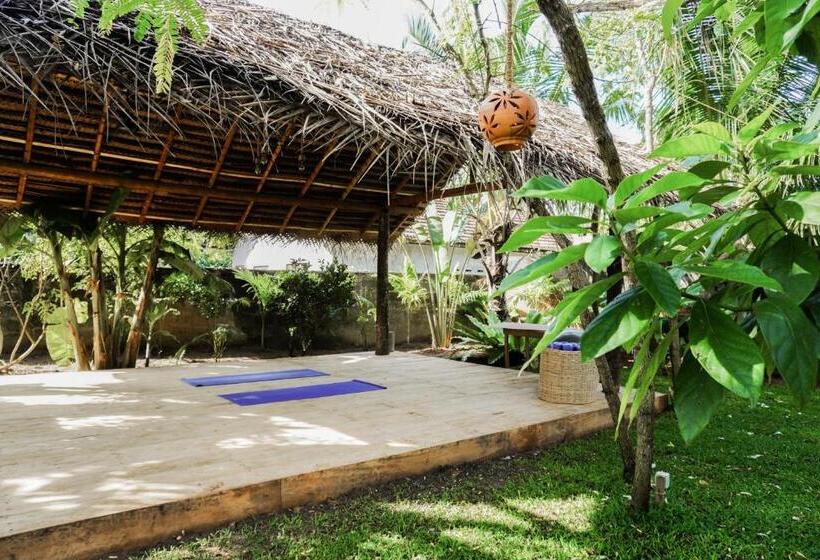 בית מלון כפרי Jackie´s Guest House