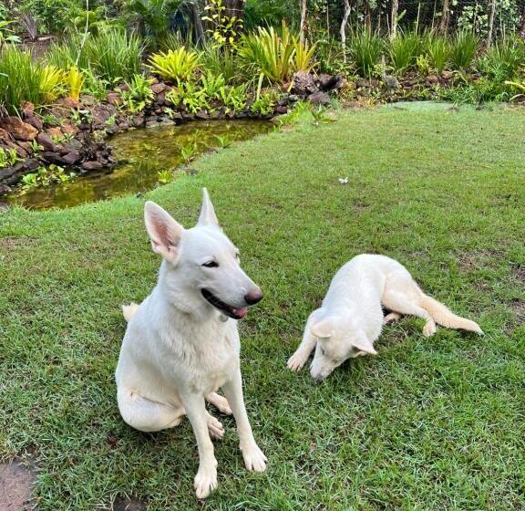 בית מלון כפרי Quinta Do Sossego