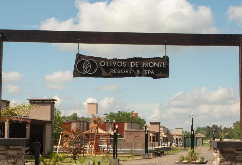 Olivos De Monte