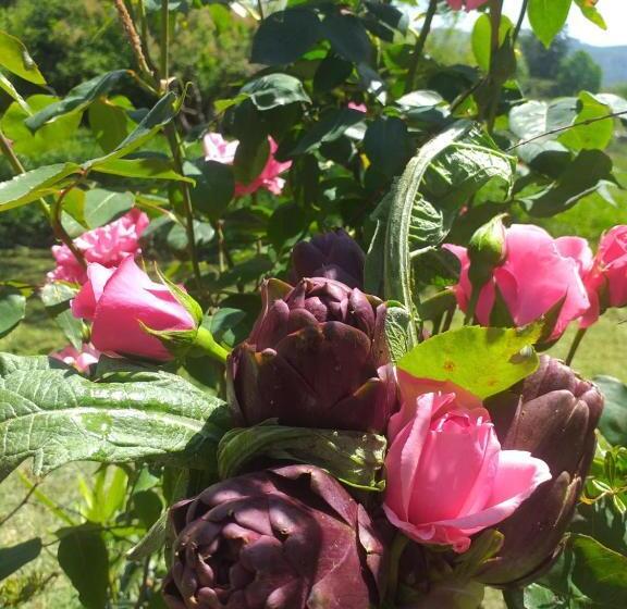 پانسیون Il Conte Di Montechiaro Rural B&b